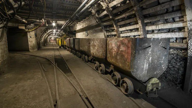 ������� ������� ����� �� ��������