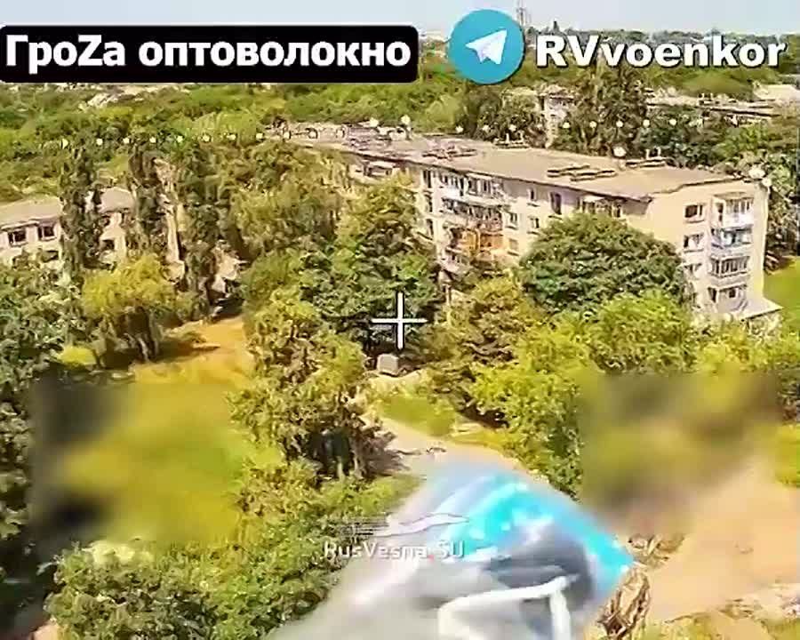   :      
