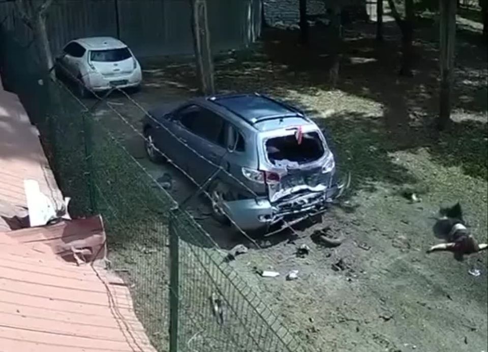  :  ,        ,     