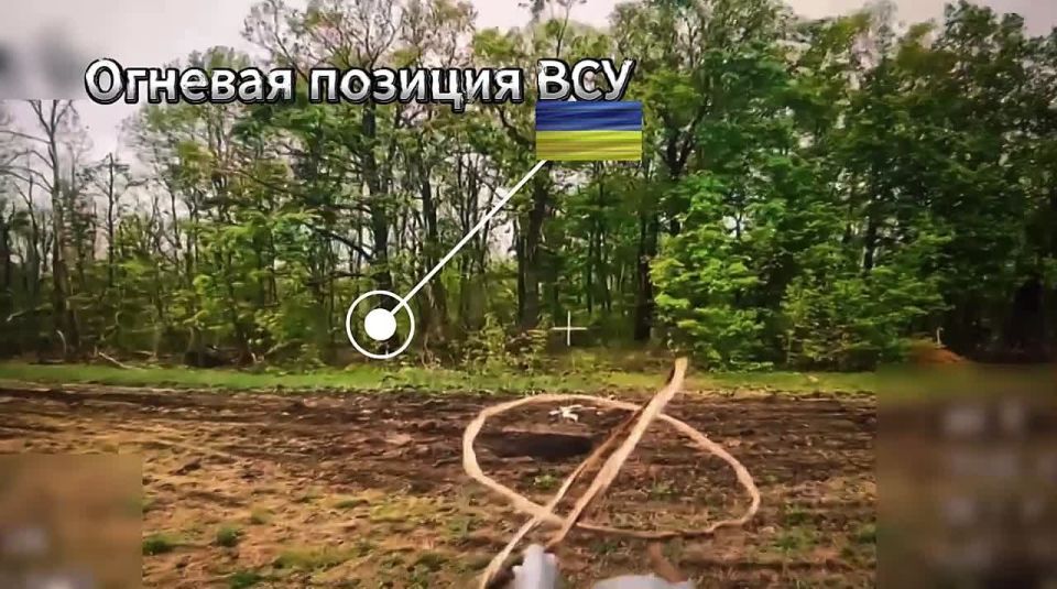 Поиск и уничтожение. Сумская область