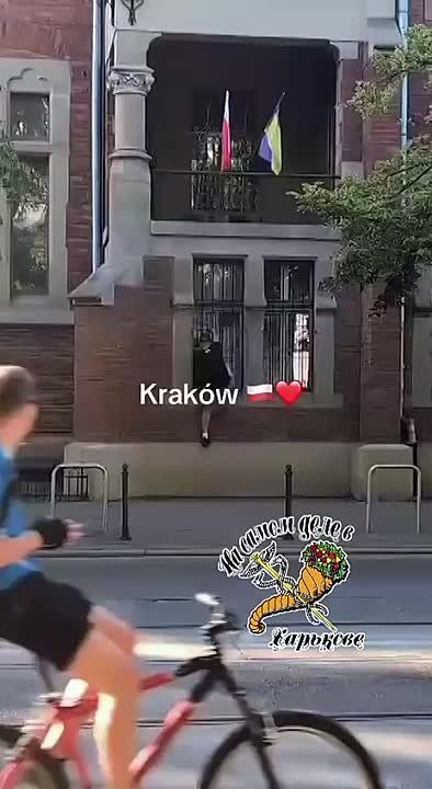 ,  ..    - 