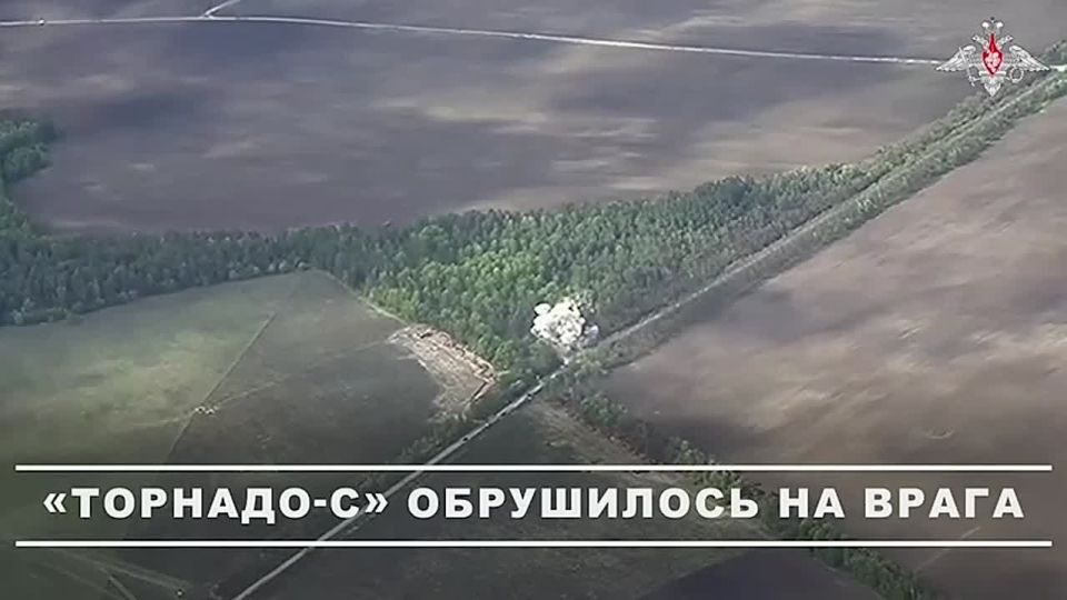  :   -ѻ           