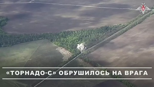 :   -ѻ           