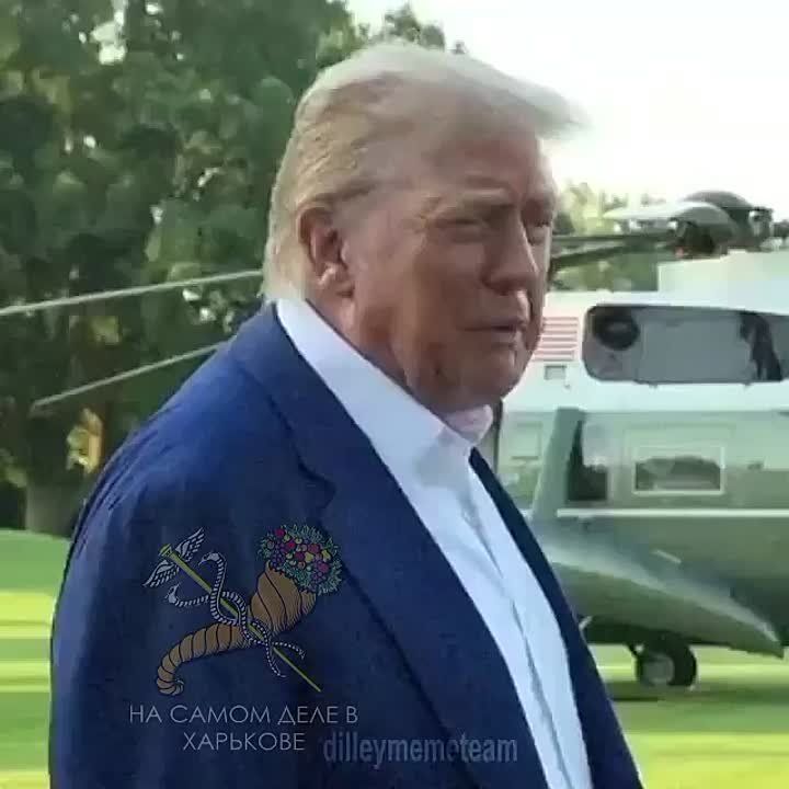     (     )       