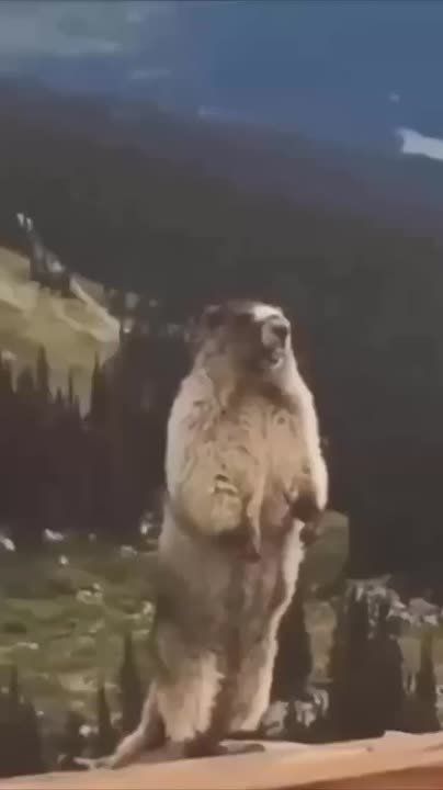 Немного фактов о Харьковском направлении