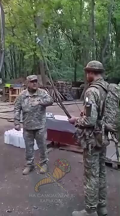  &quot;&quot;   ,   