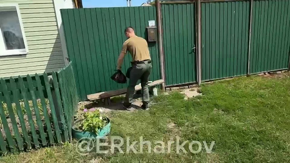  .                       ...