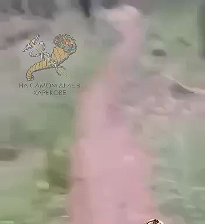   .   !