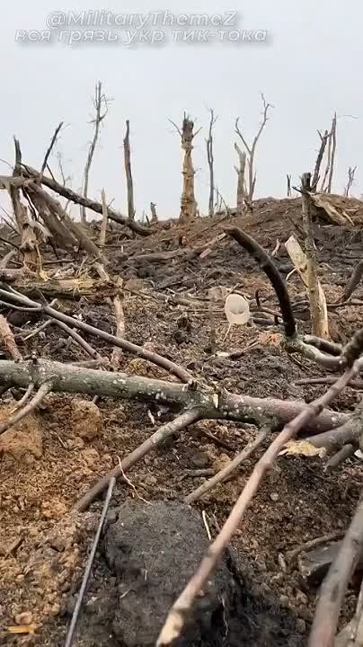  .      &quot; &quot;
