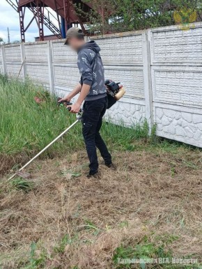     ,     - ,            