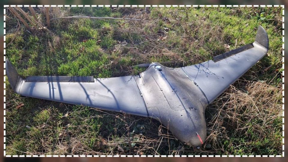 �� ����� � �������� ������� ��������� �����-��������� ��������