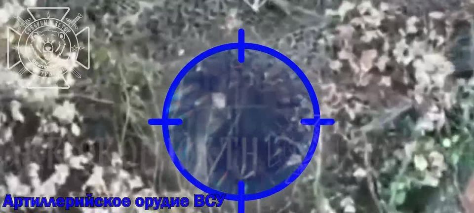 ��� �� ����������� �����������: ����������� ������� ���