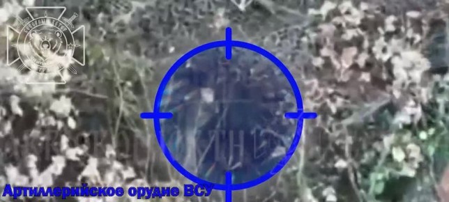    :   