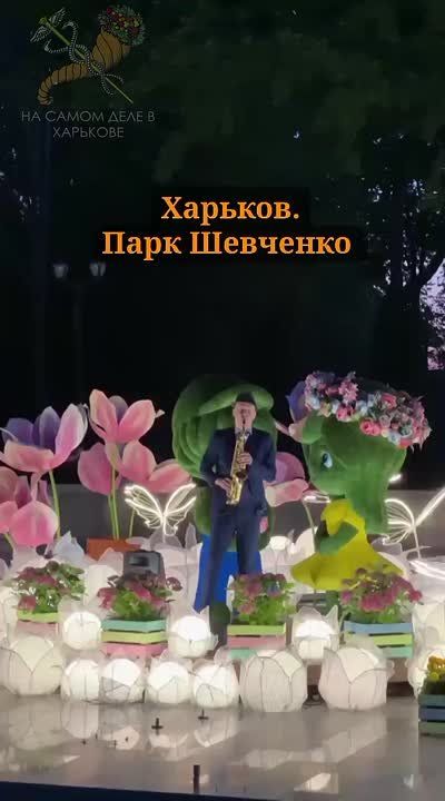 ���� ���� � �����. ����������� ��� ���