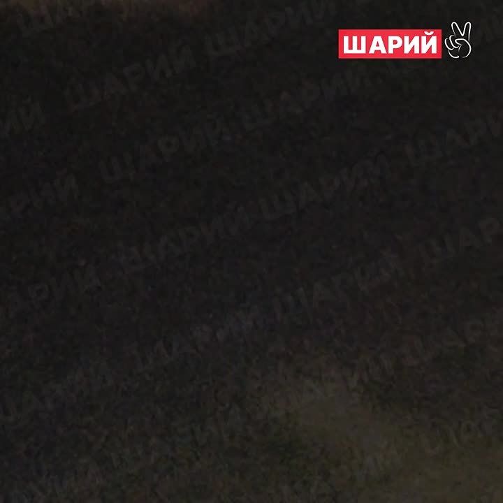   :     