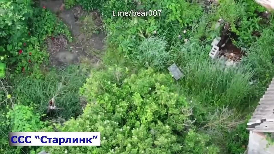    &quot;&quot;   ,    :