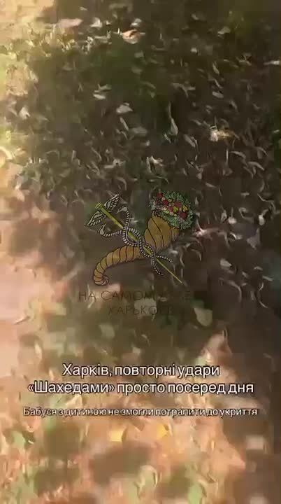 ,   ?