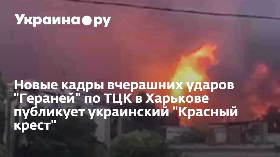 ����� ����� ��������� ������ "�������" �� ��� � �������� ��������� ���������� "������� �����"