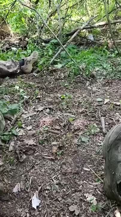          .. 