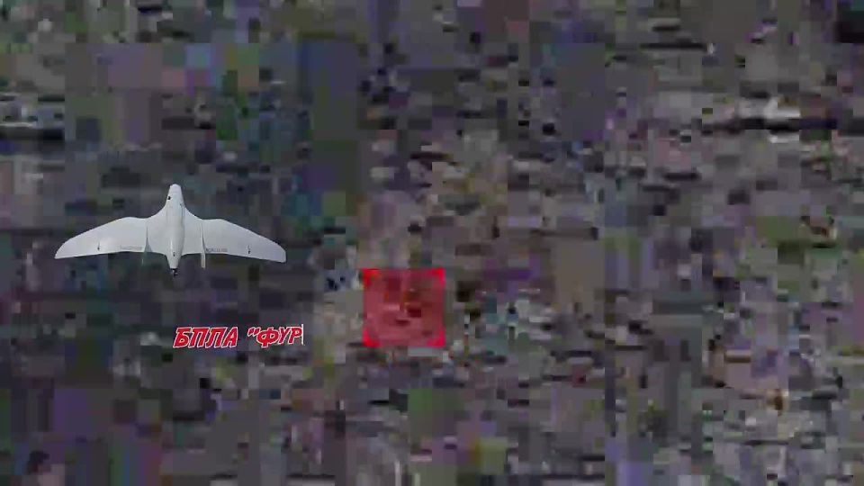               FPV 