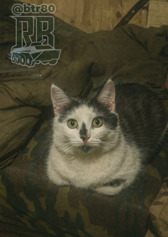 ������ ����, ������. ��������� � �������� "����" ������ �� ����� ���������� "����" �������� ������ � ������ ����� ������ �� ��������� �����������