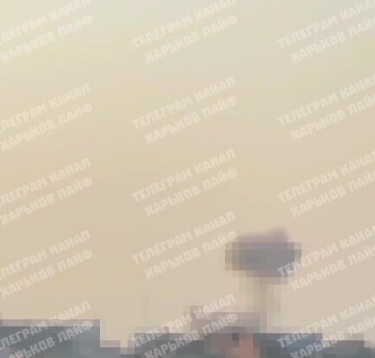     ,    