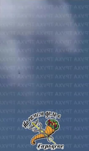            :