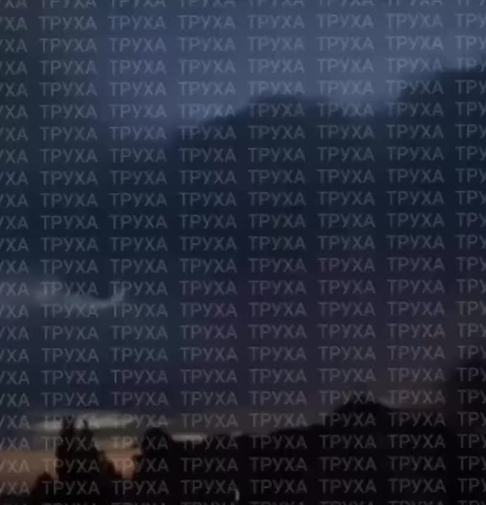             11  12  2025 