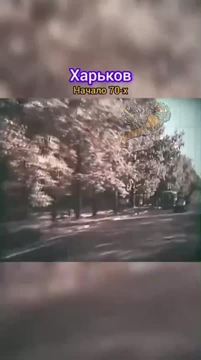 Подумать только, и все это за 30 с небольшим лет, после такой разрушительной войны