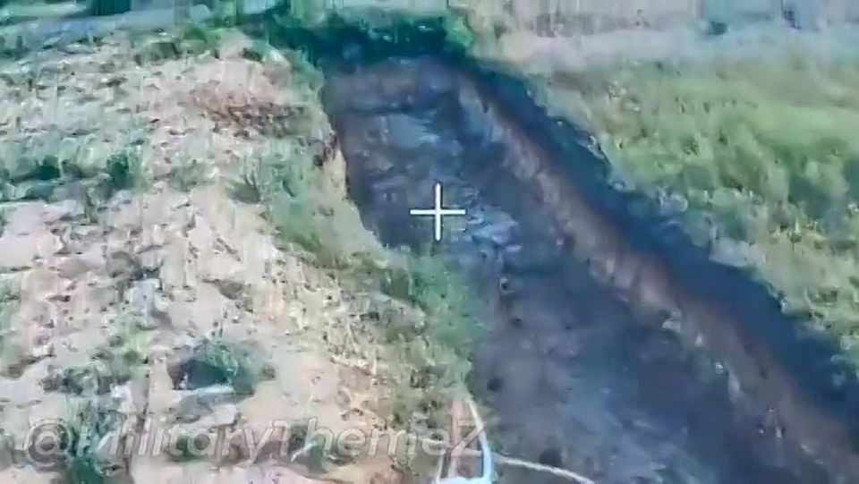 ��������� �����������. ������ ����� ������ �� ����������� �� ����������!