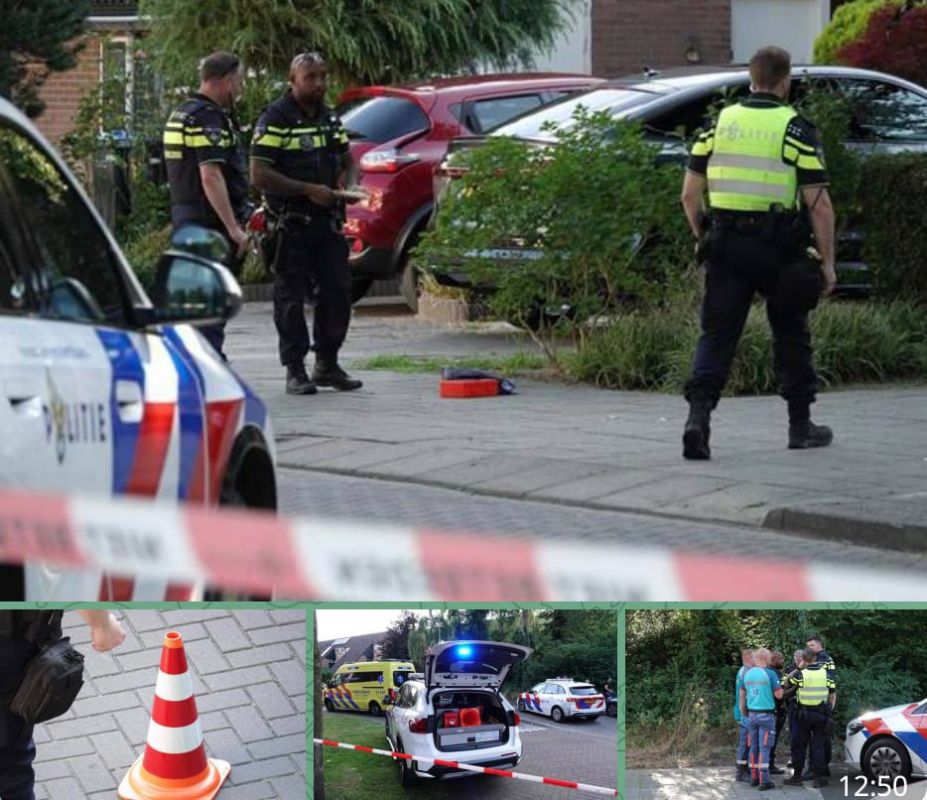 ������ ������ ���������?. �� ������� ������ ��������� ����� ����������� �������: � ����� ��� ���� ��������� ��� �������, � � ����������� � ���-�������� ����������� ��������� ��������� ������ ������ ������