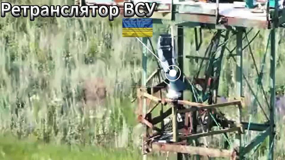 ������ ��-����������. ����������� �������