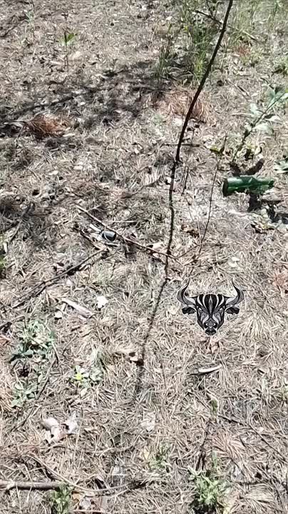 �������������� ������������ ��