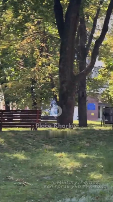 ������ ���� � ������ �������� ���������� ���������