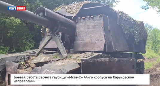     -ѻ   