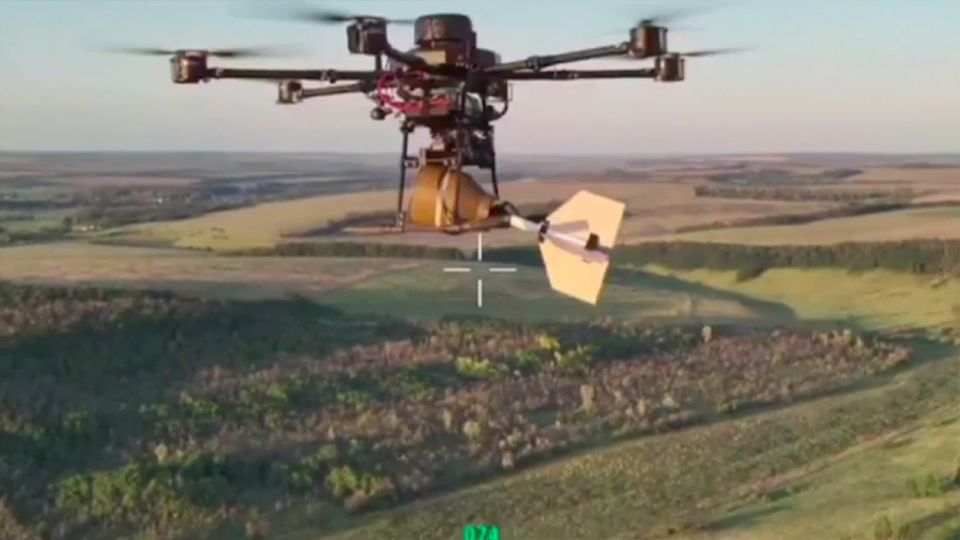 ������ ����� ����������� ������ ������������� ������ ������ ������� ���