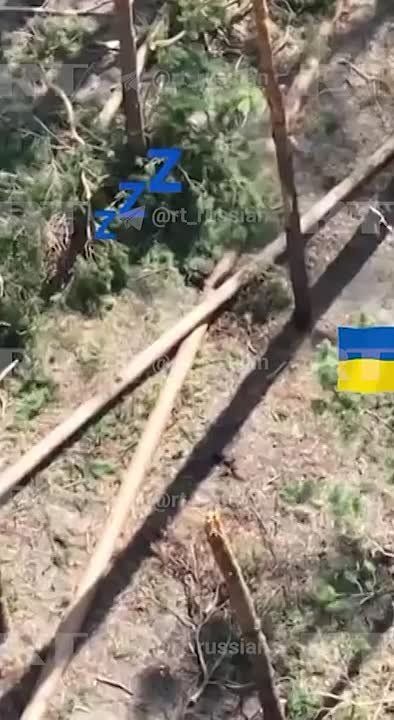 ���������� ���� ����� ������ ������ ���������� FPV-���� � �������������