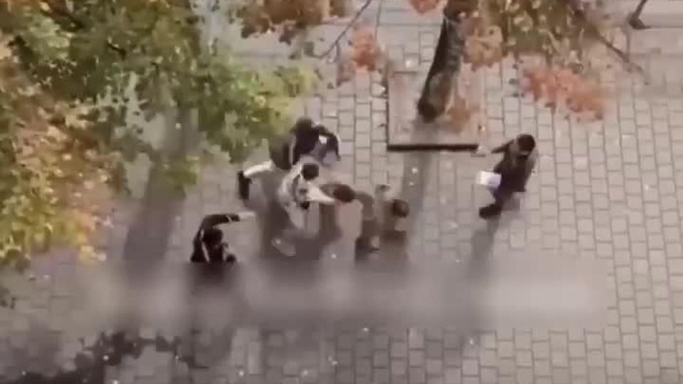 ��������� �����: ��� ������ ������� ���������� �� �����������