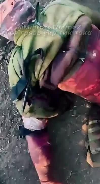 ����� ��������� ������� ������������ �������� ��� �� ������ ����������� �������. ������ ������ ������������� �����, � ���������� ����������� �� ���� ����