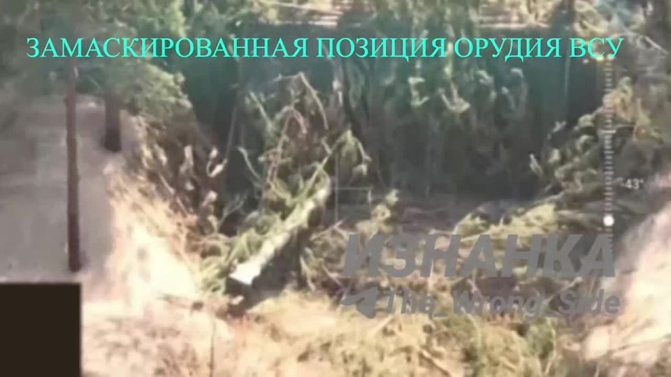 ���������� ������� �� ��� "�����" � ������� FPV-����� ������ �������������� ������ ��� �� ������� � ������ �. �. ������ �� ��������� ����������� � ����������� �������, �������� Telegram-����� "�������"