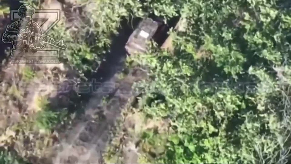 ����������� ����������� ������ � ������ ������� ����������� �������