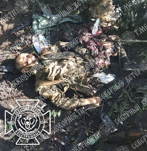 ����� 18+: ������ "�������� 200", ��� ���� ���������� ���������� �� ���������