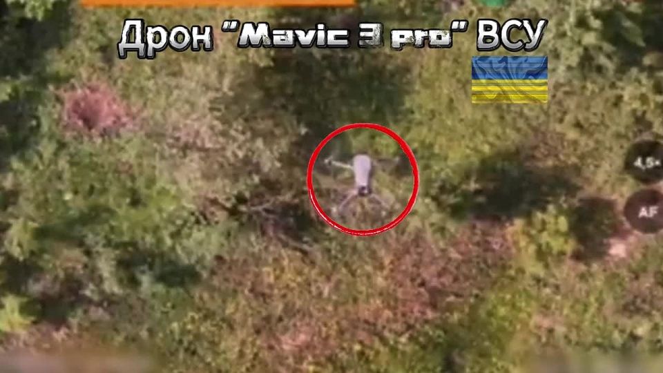 ����������� ����� �����������