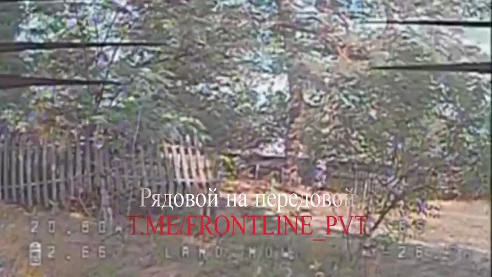 #�����_�_����. ������� �� �����