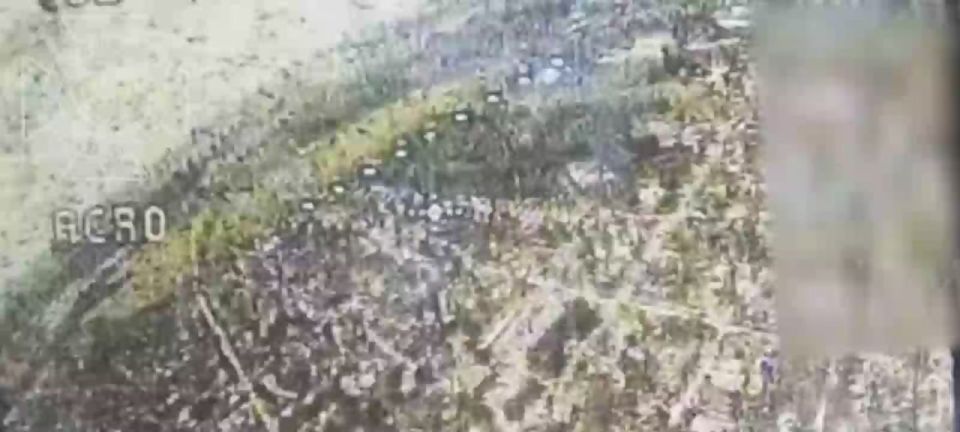 �������, ���: �������� ������� ���� �� ��������