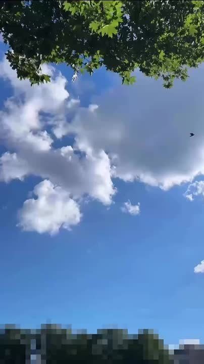 �����. ����� ���� ��������: