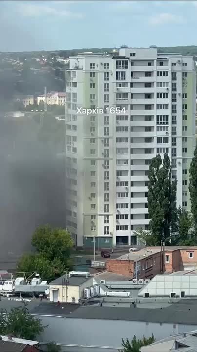 ��� ������: �������. ������������ ����� ������� �������� ������ ���������� �� ������, ���������� ��������� ������