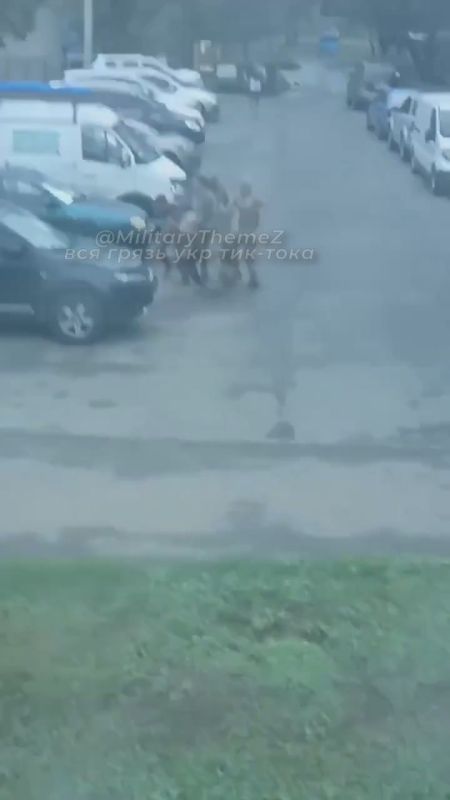 �������. ���������� ���������� ��� ����� �����������, ������� ����� � �������� ����������� �� �����