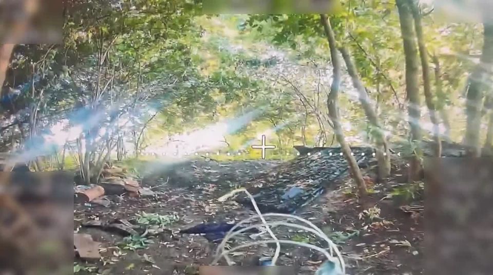 ���� ��� ������ �����, �� ������ ������!