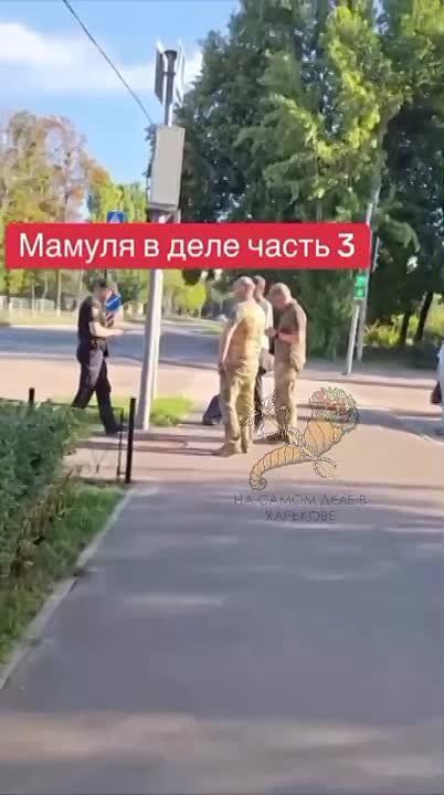 ������� � �������� ������ �������, ��� ��������� ����